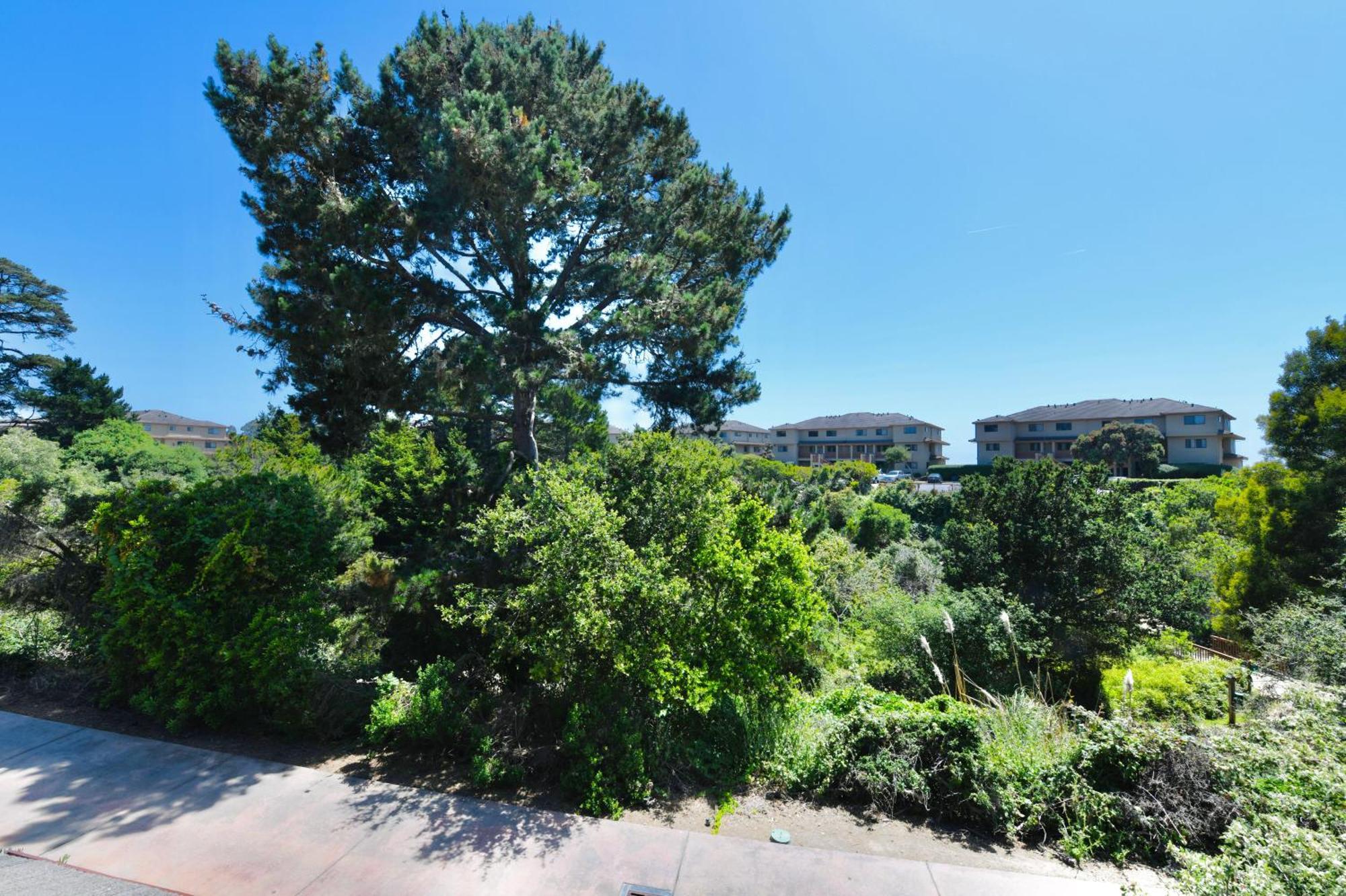 Luxury Villa - Flora View - Ground Level -Seascape Aptos Zewnętrze zdjęcie